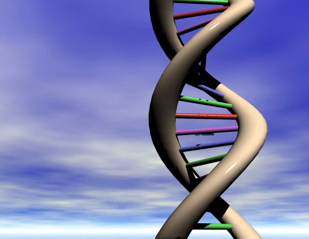 Blog – DNA MATH